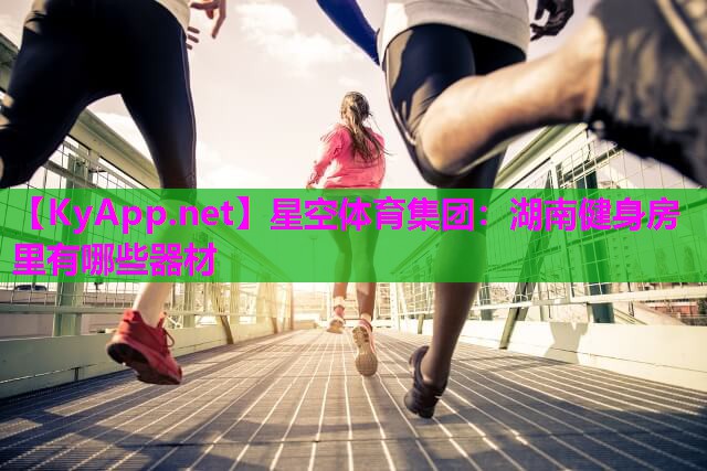 星空体育集团：湖南健身房里有哪些器材