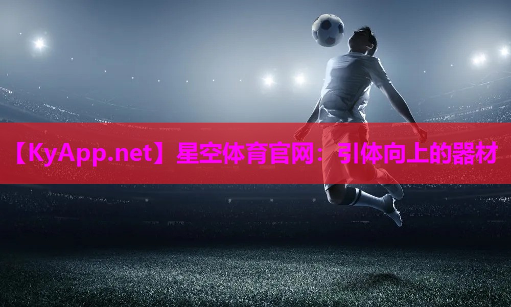 星空体育官网：引体向上的器材