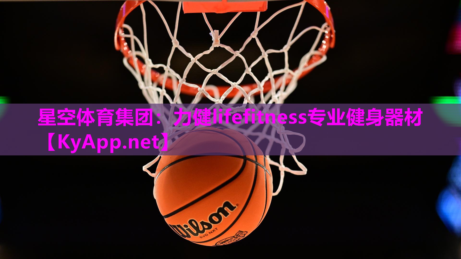 星空体育集团：力健lifefitness专业健身器材