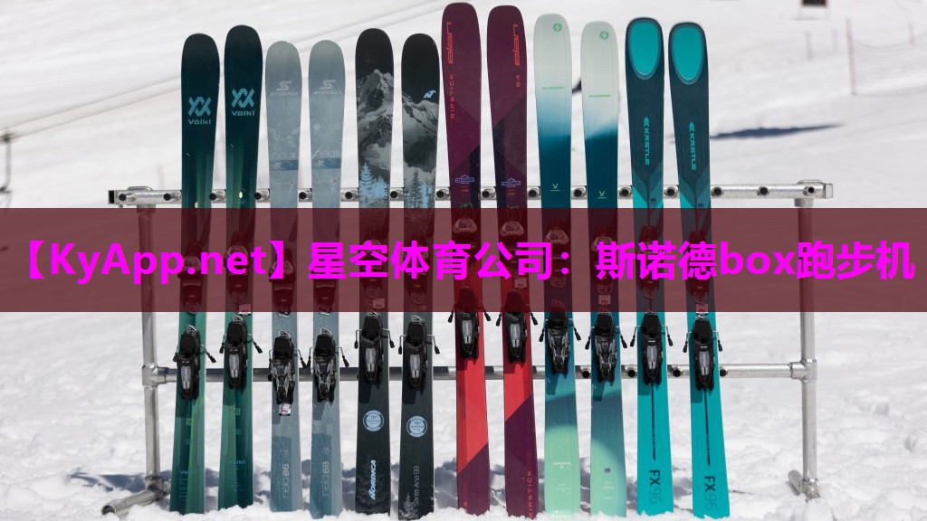 星空体育公司：斯诺德box跑步机