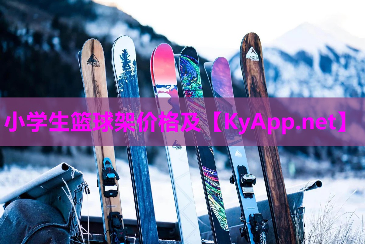 小学生篮球架价格及