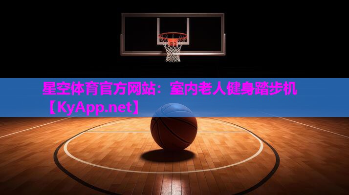 室内老人健身踏步机
