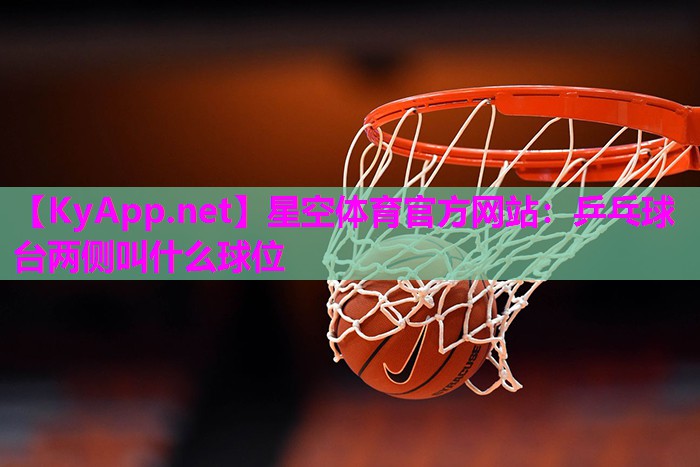 乒乓球台两侧叫什么球位