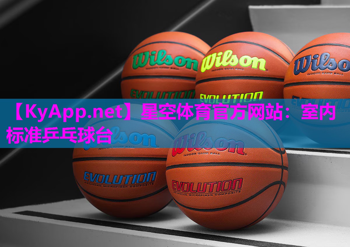 室内标准乒乓球台