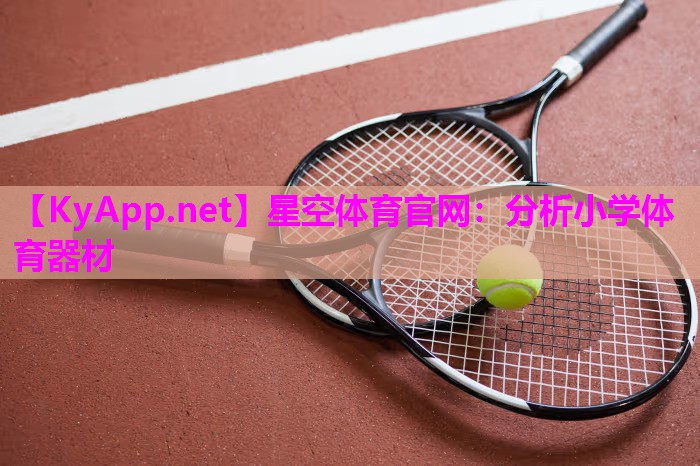 分析小学体育器材