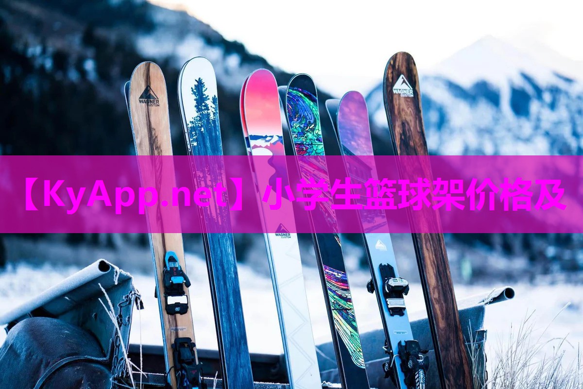 小学生篮球架价格及