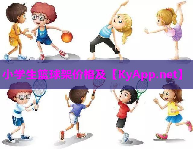 小学生篮球架价格及