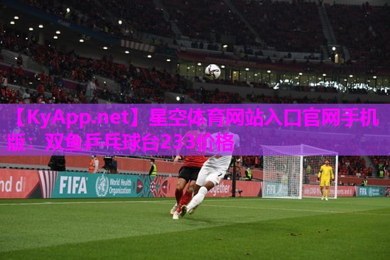 双鱼乒乓球台233价格