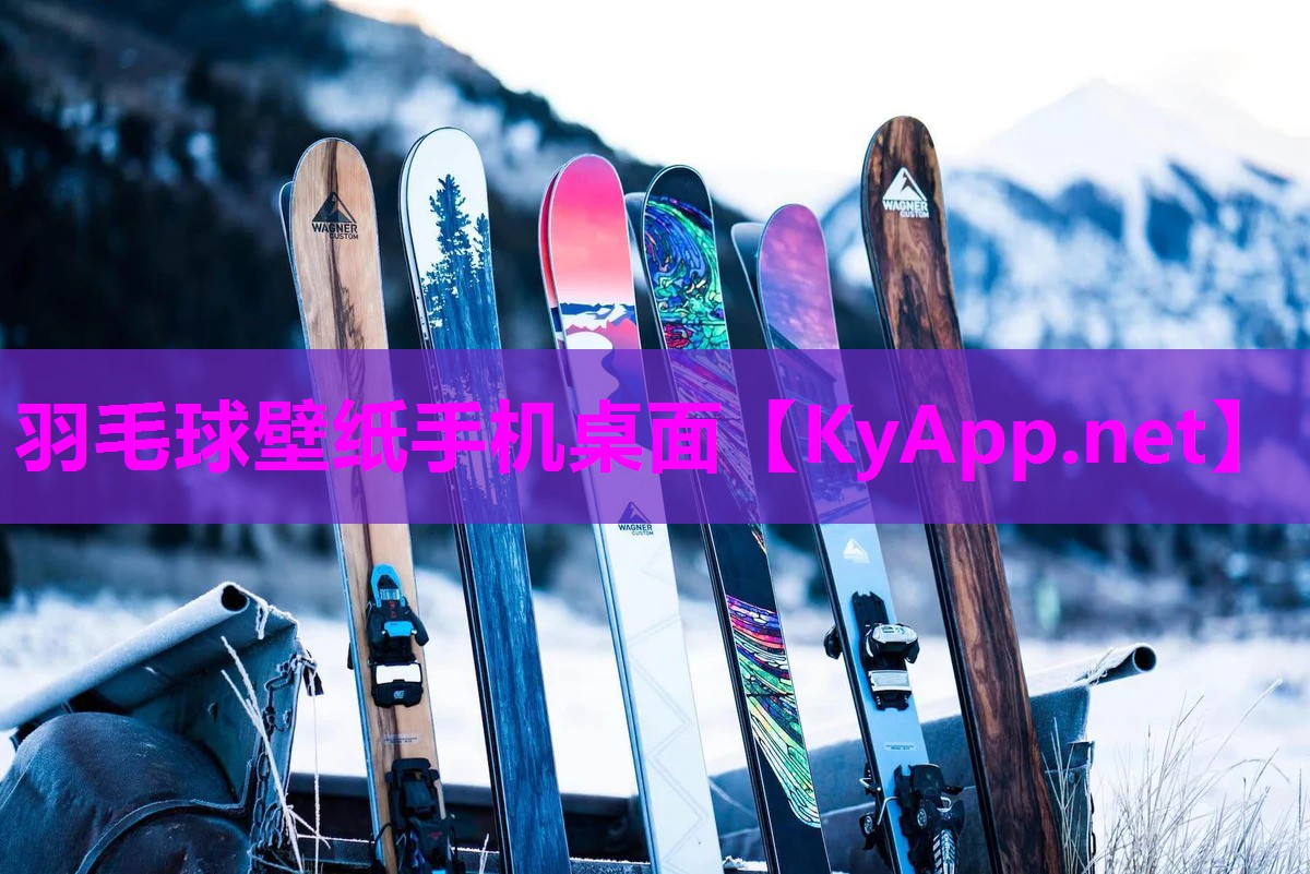 羽毛球壁纸手机桌面
