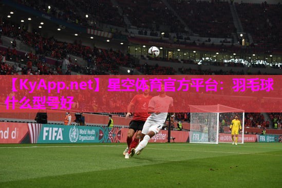 羽毛球什么型号好