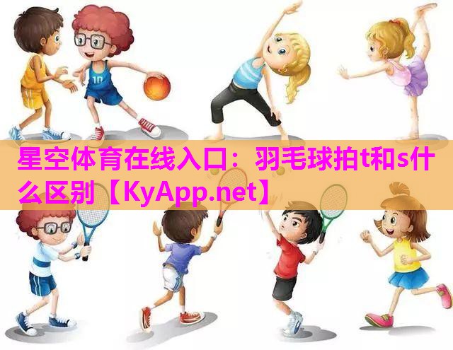 羽毛球拍t和s什么区别