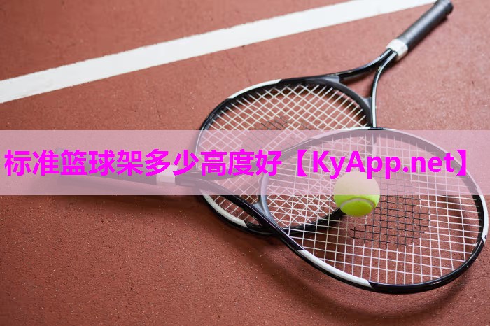 标准篮球架多少高度好